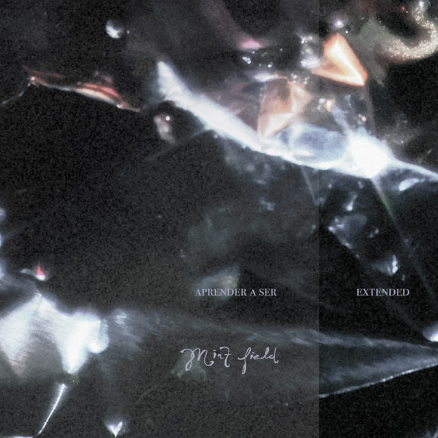 Aprender a Ser: Extended album cover