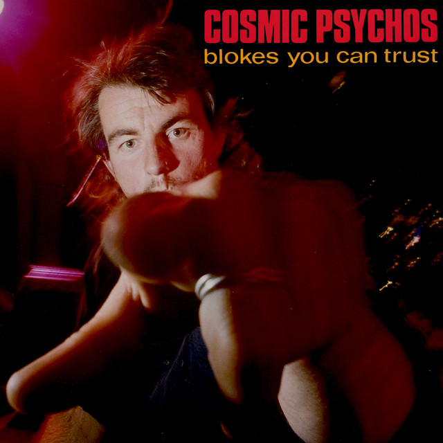 Blokes You Can Trust album cover