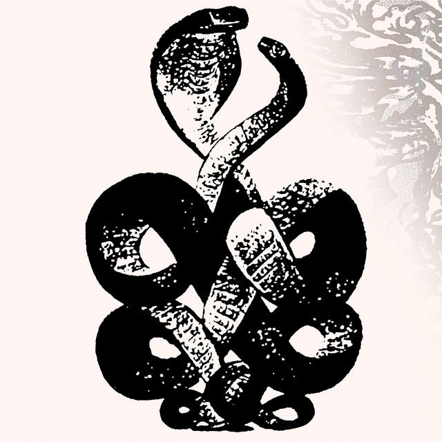 Bardo Pond, Vol. 4 album cover