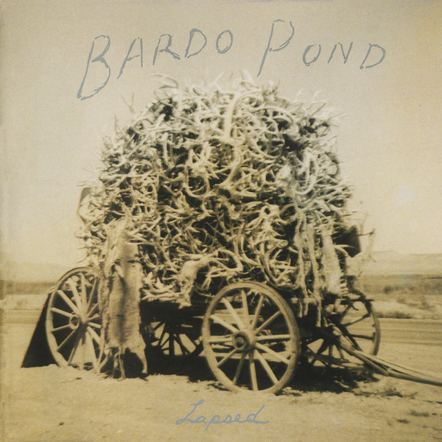 Lapsed album cover