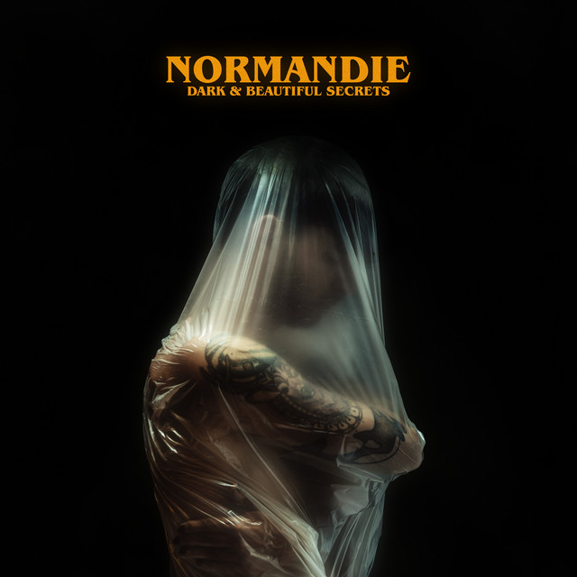 Dark & Beautiful Secrets album cover