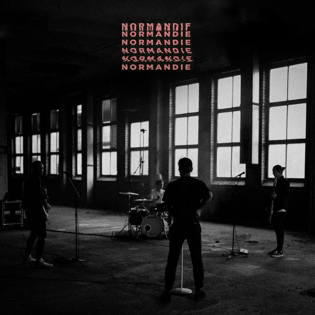 Shure SM7B as heard on White Flag (Live Sessions) by Normandie (2019)