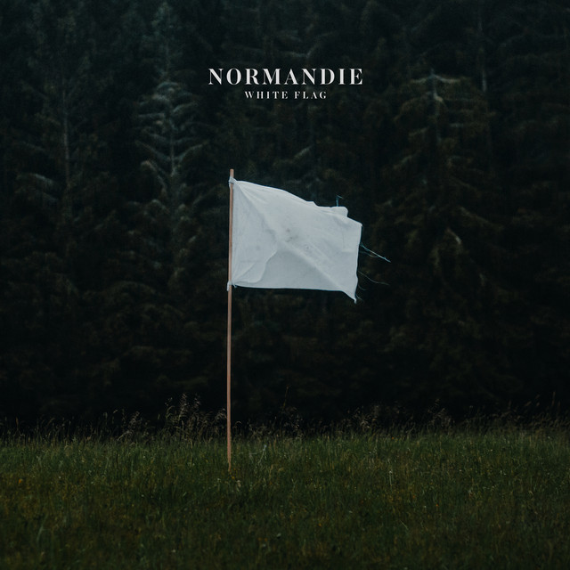 Shure SM7B as heard on White Flag by Normandie (2018)