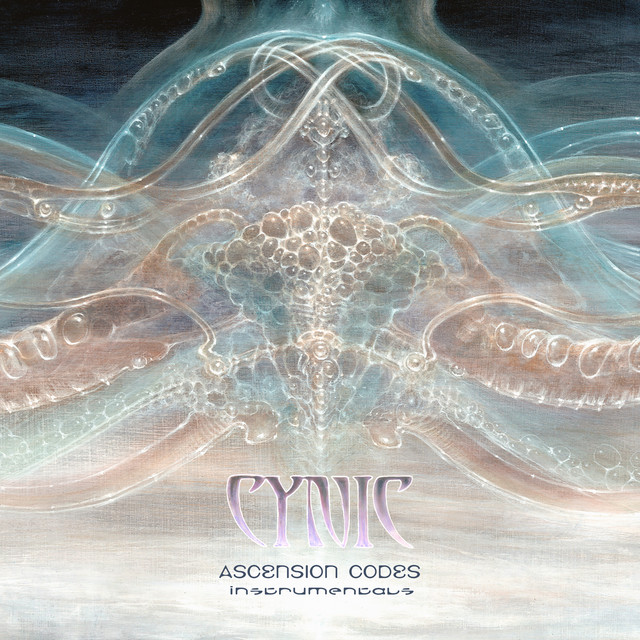 Ascension Codes (Instrumentals) album cover