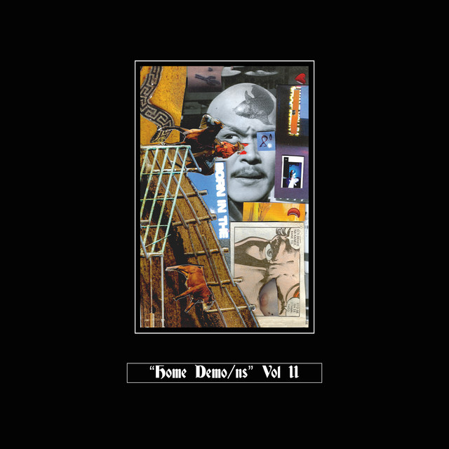 Home Demo/ns vol. II album cover