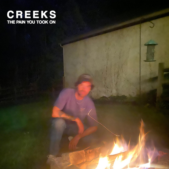 The Pain You Took On album cover