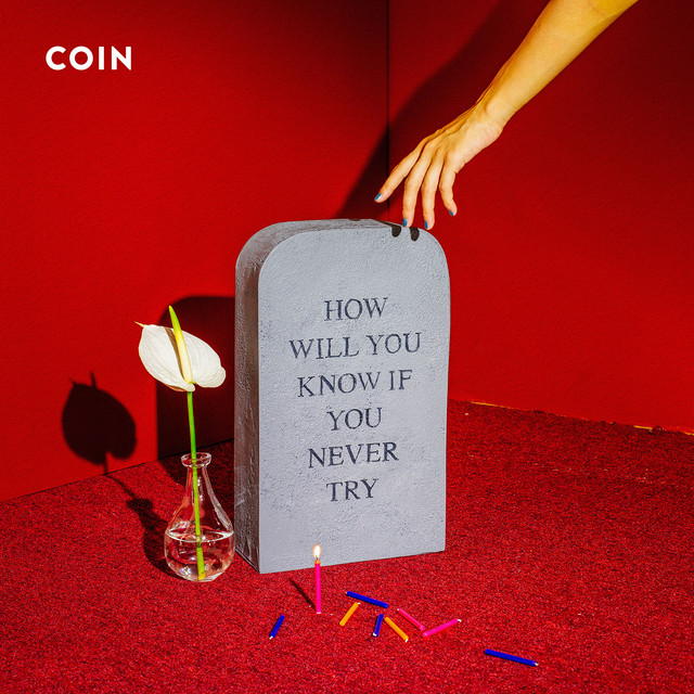 How Will You Know If You Never Try album cover