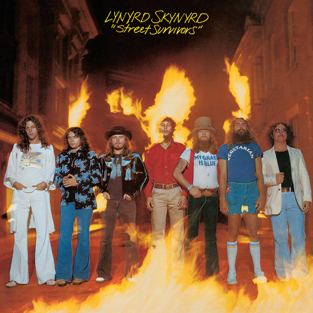 Fender Stratocaster Electric Guitar as heard on Street Survivors by Lynyrd Skynyrd (1977)