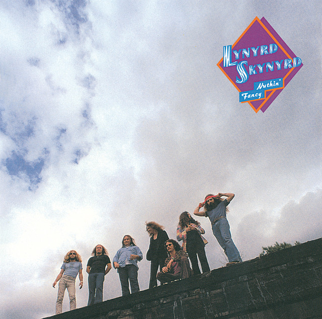 Fender Twin as heard on Nuthin' Fancy (Expanded Edition) by Lynyrd Skynyrd (1975)