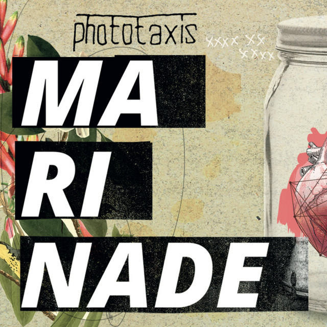 Marinade album cover
