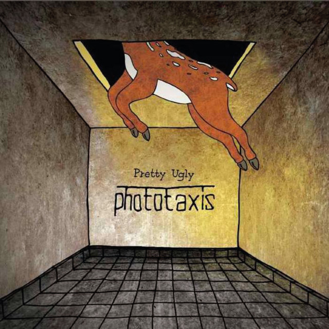Pretty Ugly album cover