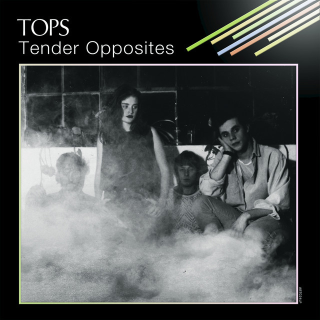 Tender Opposites album cover