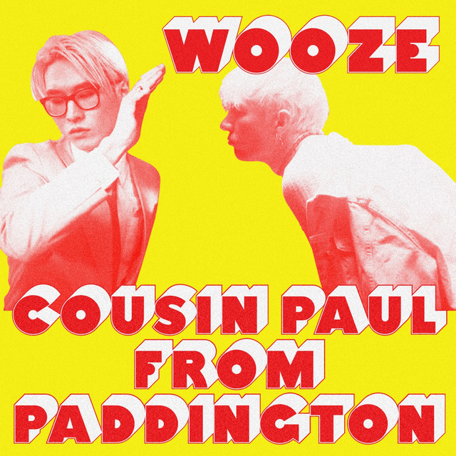 Danelectro U-2 as heard on Cousin Paul from Paddington by WOOZE (2019)