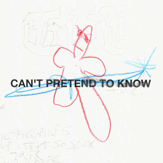 Can't Pretend To Know