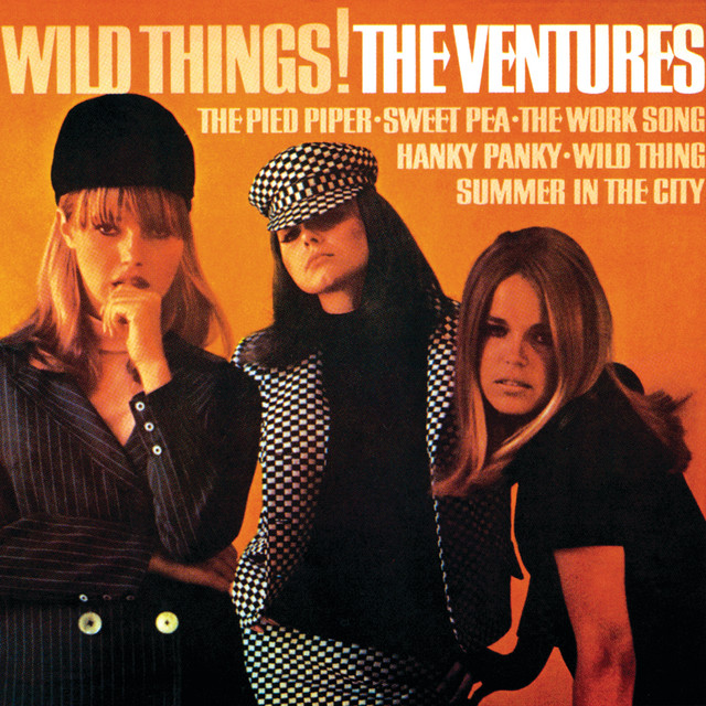 Wild Things! album cover