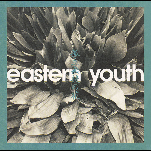 Eastern Youth Members, Gear & Sound | Equipboard