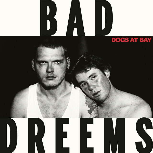 Dogs At Bay album cover