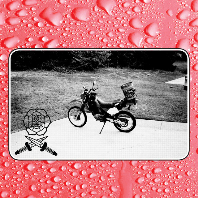 Say I Won't album cover