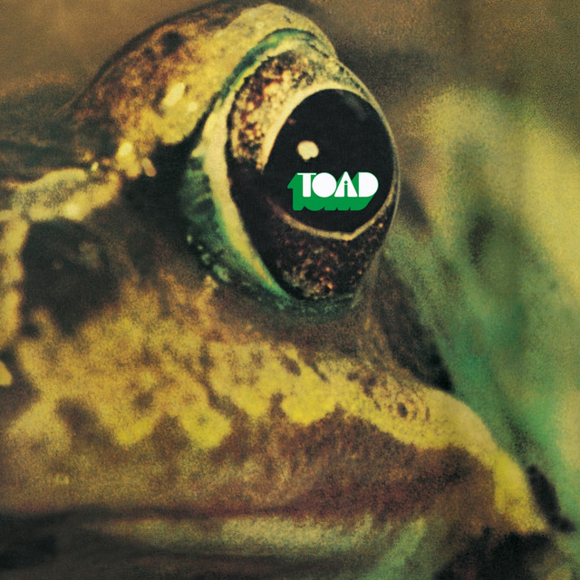 Toad album cover