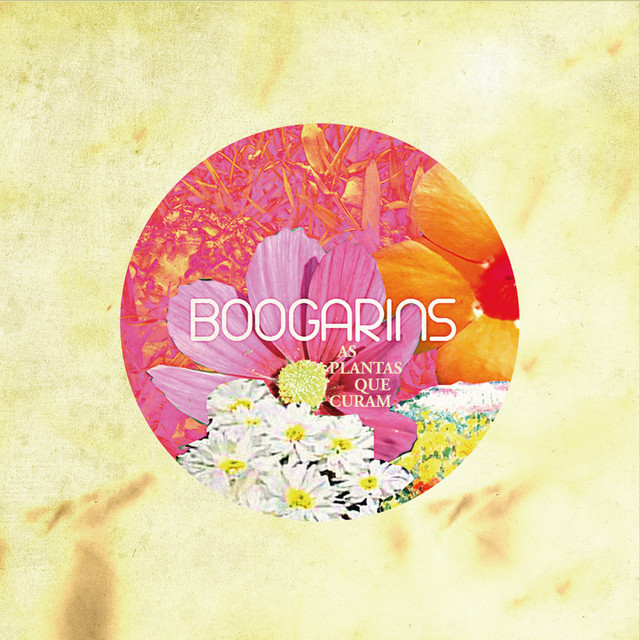 As Plantas Que Curam album cover