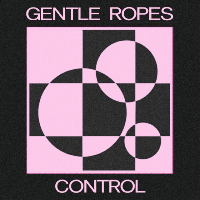 Control album cover