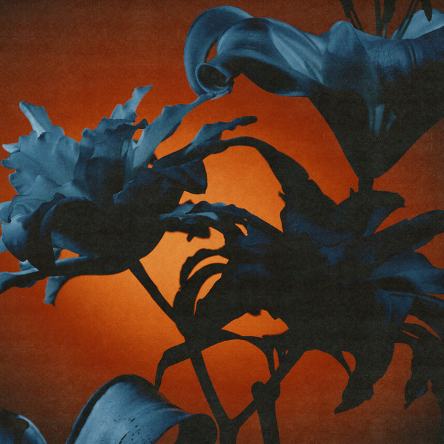 Instant Rewards album cover