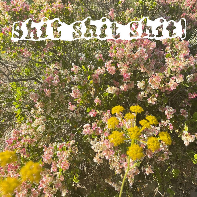 SUNSAD album cover