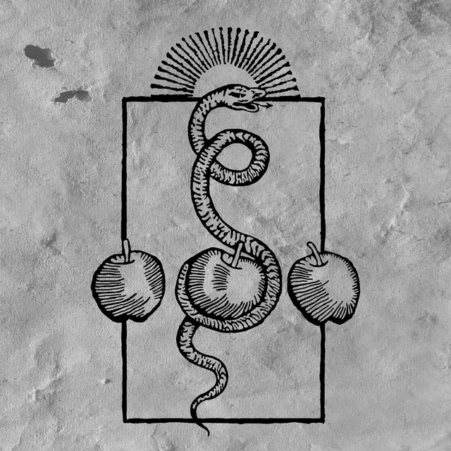 We Are Him album cover