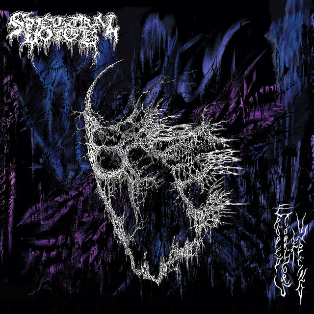 Eroded Corridors of Unbeing album cover