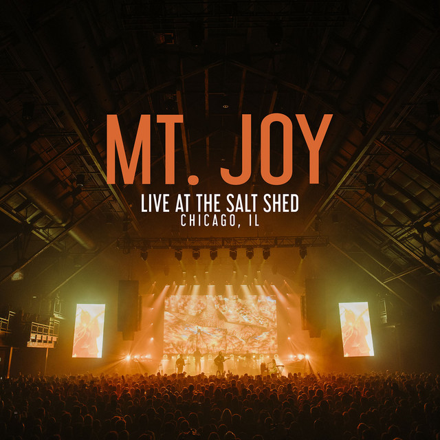 Live at The Salt Shed album cover