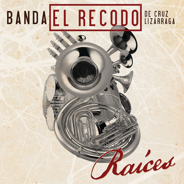 Raíces album cover