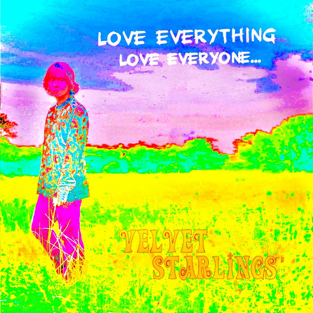 ZVEX Fuzz Factory as heard on Love Everything, Love Everyone… by Velvet Starlings & Velvet starlings (2019)