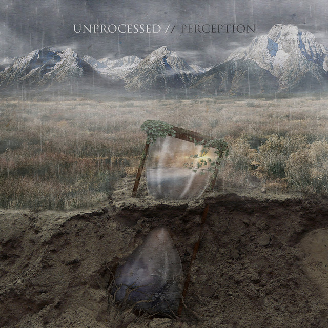 Perception album cover