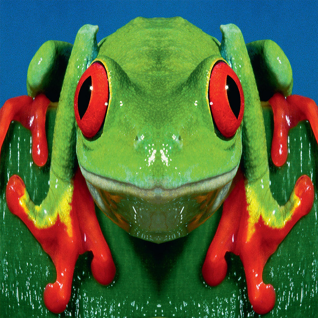 Totem (Remastered 2015) album cover