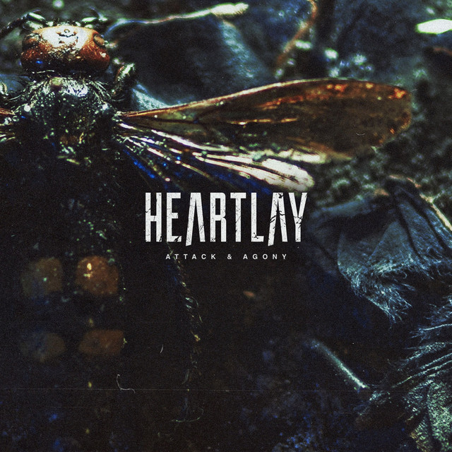 Attack & Agony album cover