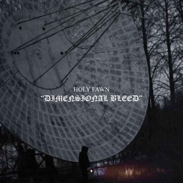 Dimensional Bleed album cover