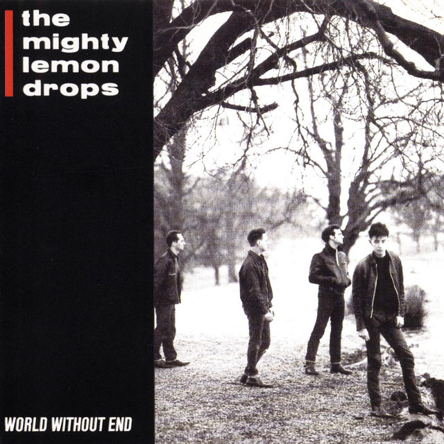 World Without End album cover
