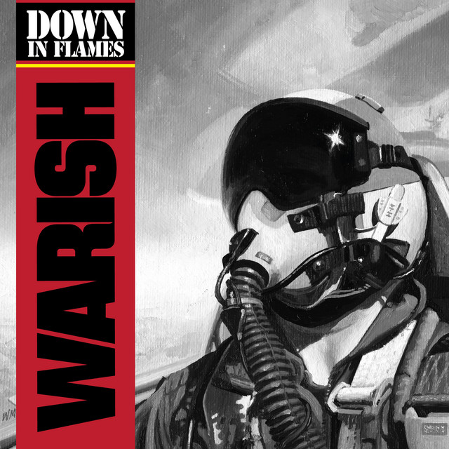 Down In Flames album cover