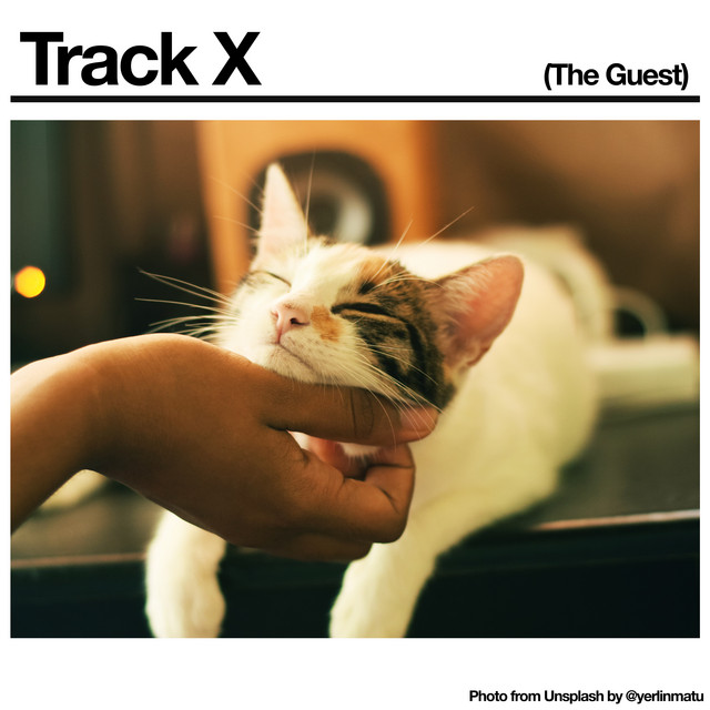 Pedaltrain Novo 18 as heard on Track X (The Guest) by Black Country, new road (2021)