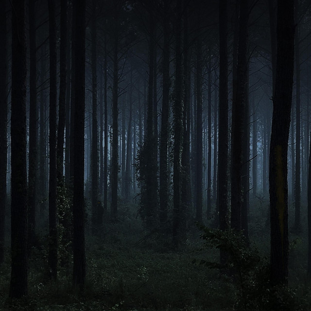 Shadow People album cover
