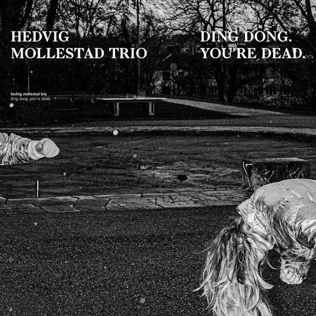 Ding Dong. You´re Dead. album cover