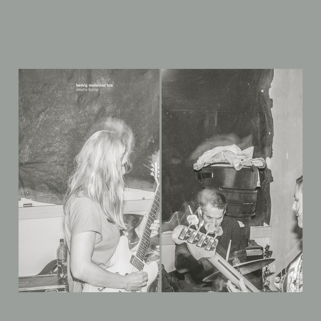 Radial JDI as heard on Smells Funny by Hedvig Mollestad Trio (2018)