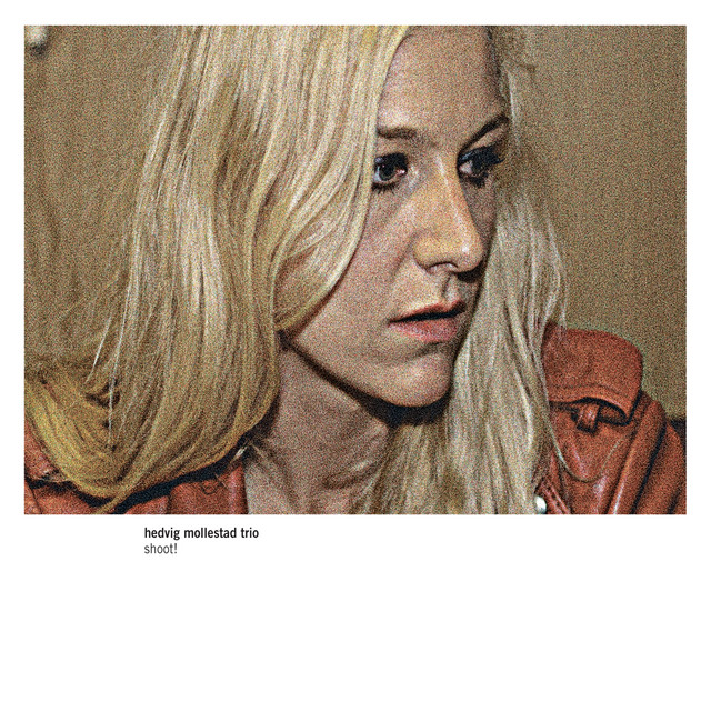 Shoot! album cover