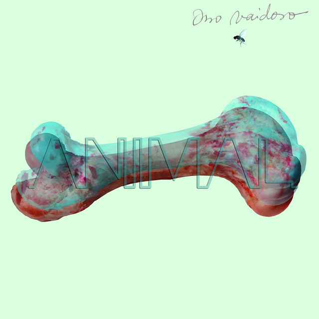 Animal album cover