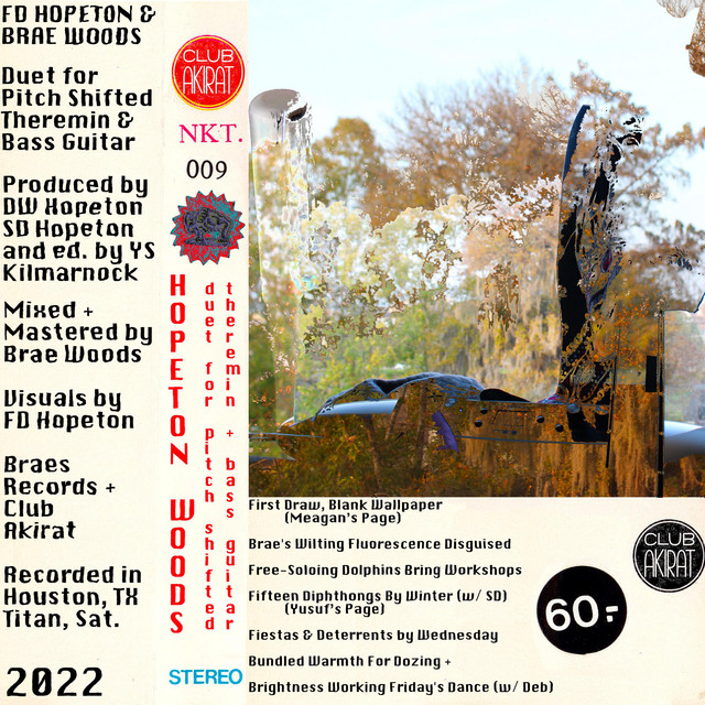 FD Hopeton & Brae Woods Present... Duet For Pitch Shifted Theremin & Bass Guitar album cover