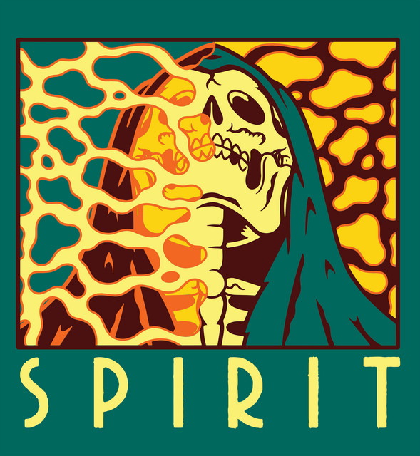 Union Tube & Transistor Sub Buzz Bass Fuzz as heard on Spirit by The Blue Stones (2021)