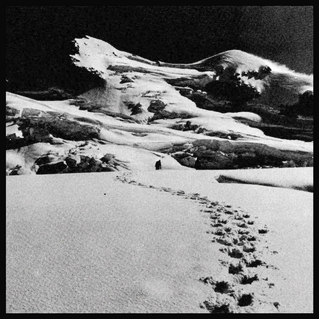 A New Life album cover