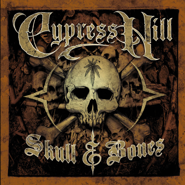 Skull & Bones album cover