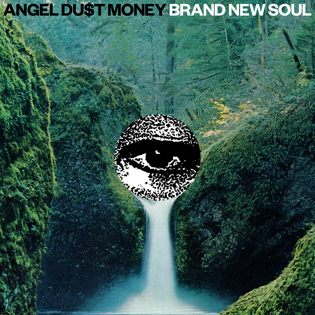 BRAND NEW SOUL album cover