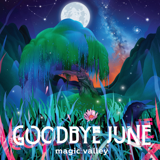 Magic Valley album cover